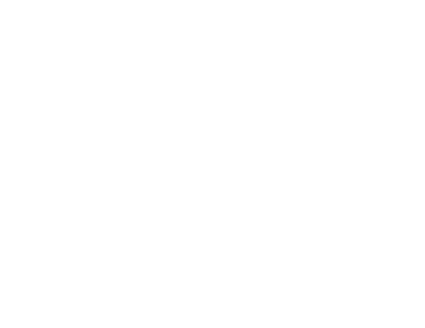 档案查询